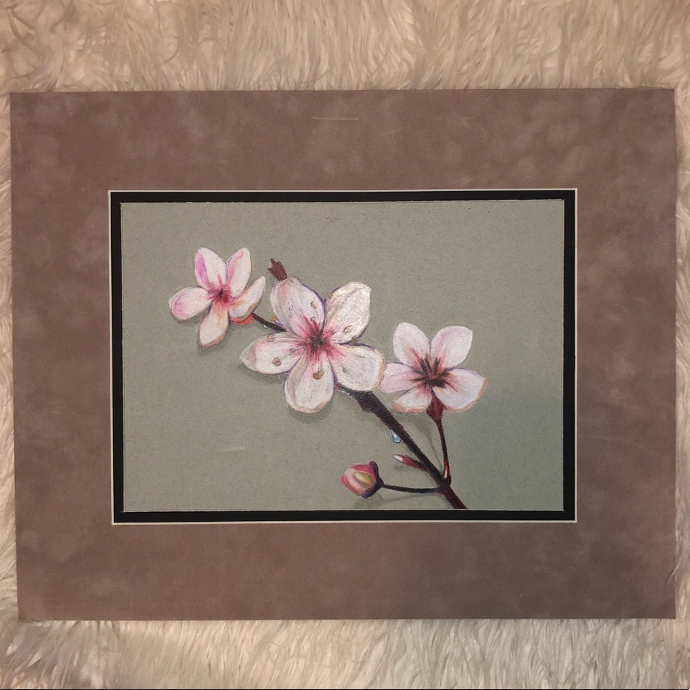 SELF-MADE colored pencil cherry blossoms